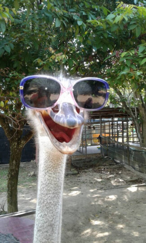 provider-profile-image